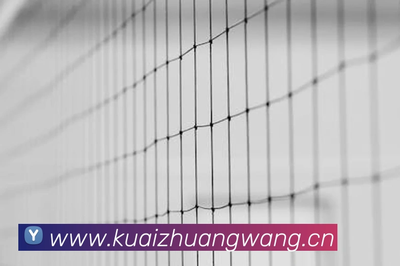 意昂体育官网登录APP 体育赛事宣传图